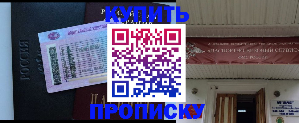 временная регистрация поиск в Заинске